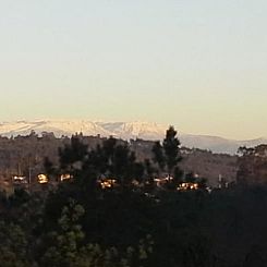 Vakantiehuis in Tondela