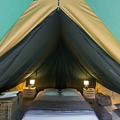 Bonaventure-tent
