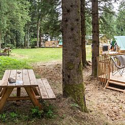 Bonaventure-tent