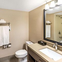 Best Western Plus Cotton Tree Inn
