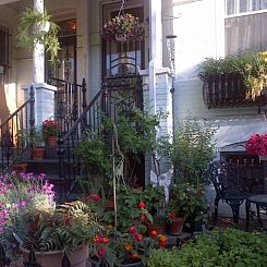 Ledroit Park Renaissance Bed and Breakfast