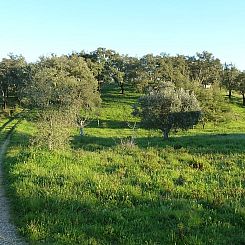 Vakantiehuis in Abela