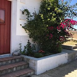 Vakantiehuisje in Amoreiras Gare