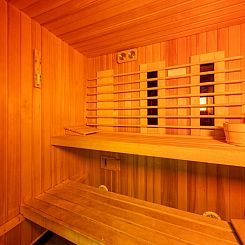 Wellness Wiid Plus 8