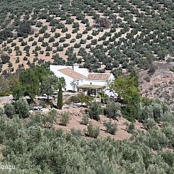 Cortijo La Pedriza
