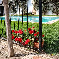 Vakantiehuis Casa Rural 'Casa del Molino' mit Terrasse
