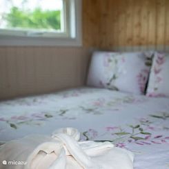 Tinyhouse Iguana