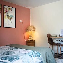 Casa Carla Andalucia - Studio Cabra