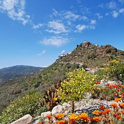 Vakantiehuis Ein Traumurlaub im Herzen von Andalusien.