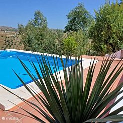 Casa Wenne