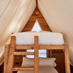 Algaida Tent