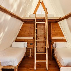 Sauceda Tent