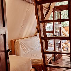 Sauceda Tent