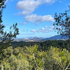 Vakantiehuis in Cretas