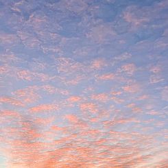 Vakantiehuis in Cretas