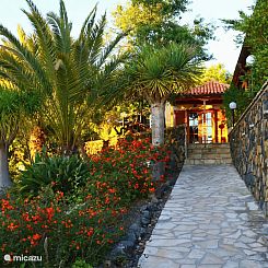 Finca Tijarafe