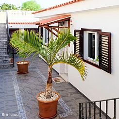 Casa Joya