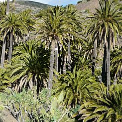 Vakantiehuis Finca mit Wasserblick