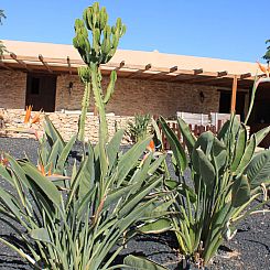 Vakantiehuis Kanarisches Haus mit privatem Pool und Garten