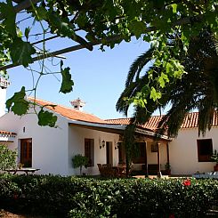 Vakantiehuis Typisch kanarische Finca Elena mit eigenem Pool