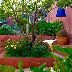 Vakantiehuis Finca mit Garten, Grill und Terrasse
