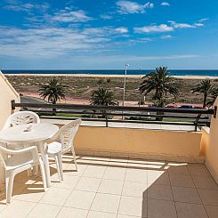 Appartement Wohnungen Palm Garden