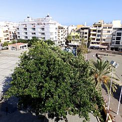Appartement "Cañaveral Medano".