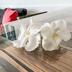 Appartement Apartamento La Barca
