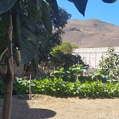 Vakantiehuis Edara Home - Haus mit privatem Garten