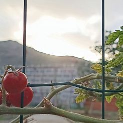Vakantiehuis Edara Home - Haus mit privatem Garten