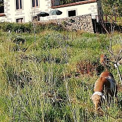 Vakantiehuis Ländliches Haus Las Caldereras