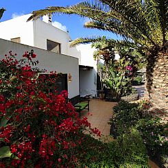 Appartement Casa Roco III