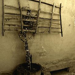 Vakantiehuis Callejón del Pozo II