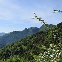 Vakantiehuisje in Vallfogona de Ripollès