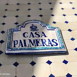 AlmunecarHolidayRentals: Palmeras