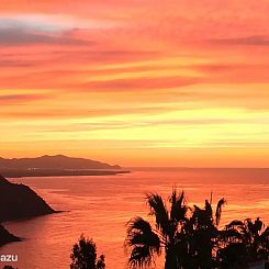 AlmunecarHolidayRentals: Palmeras