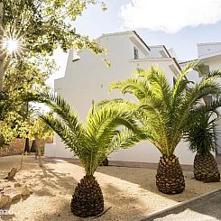 Monte Molar, Altea L'Olla