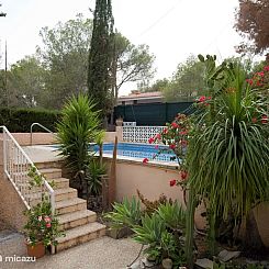Los Pinos 6