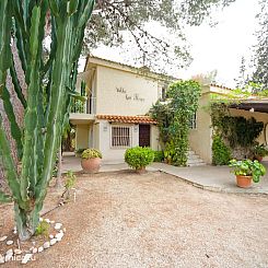 Los Pinos 6