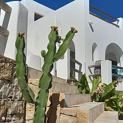 Villa Lusi