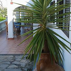 Vakantiehuis Villa "Michel" mit Blick auf das Wasser
