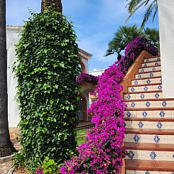 Casa Las Ranas