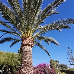Heerlijk vakantiehuis Moraira