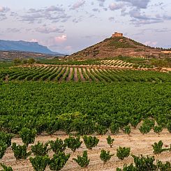 Vrijstaande woning in Aspe