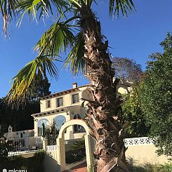 Villa Bonavista