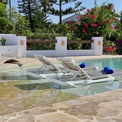 MontgoPalms - De mediterrane oase