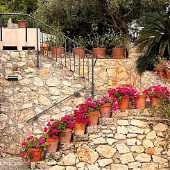 Villa Pomelo