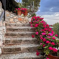 Villa Pomelo