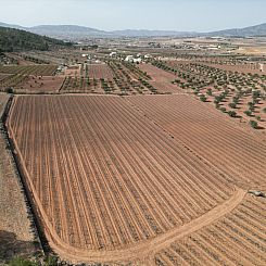 Kavel in Pinoso