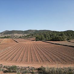 Kavel in Pinoso